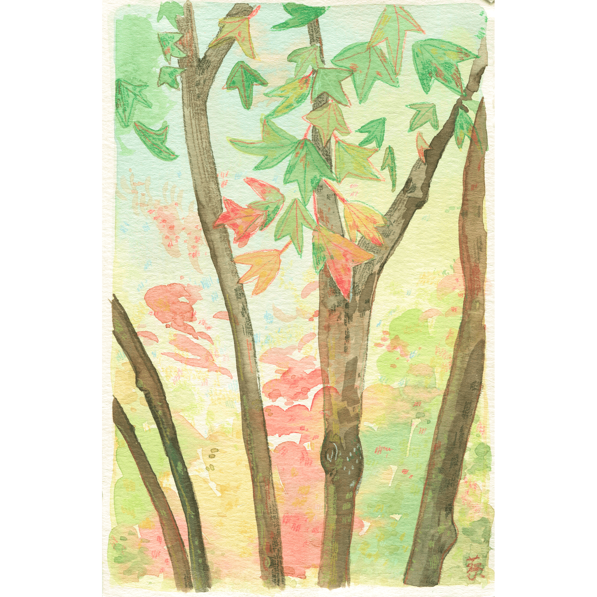 Fall leaves