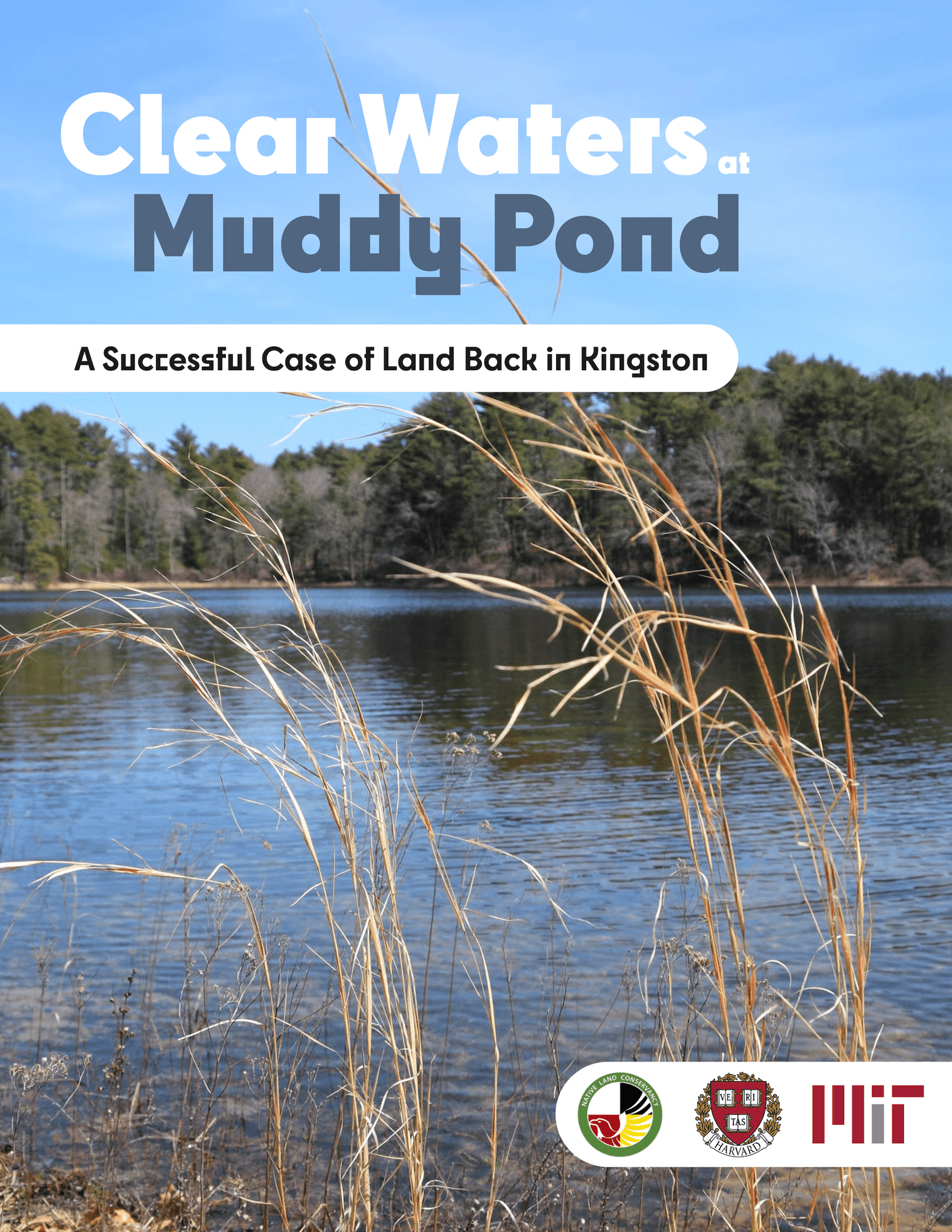 Clear Waters at Muddy Pond
