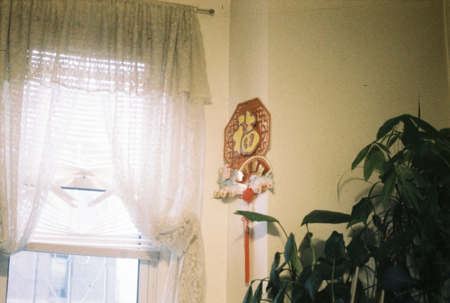 20+ year old curtains and I'm almost sure the red ornament must have been taped for nearly as long. 福 (fu) is the word on there, it directly translates to good fortune, blessing, and happiness. 福寿双全 (fu shou shuang quan): to enjoy both happiness and longevity, 感到幸福 (gan dao xing fu): to feel happy, 祈福 (qi fu): to pray for good fortune, 人生的幸福 (ren sheng de xing fu): the happiness of life, and 为人民谋幸福 (wei renmin mou xing fu): to work for the well-being of the people. I guess this is 奶奶's surefire way of bring luck into this family. You have to manifest after all, right?